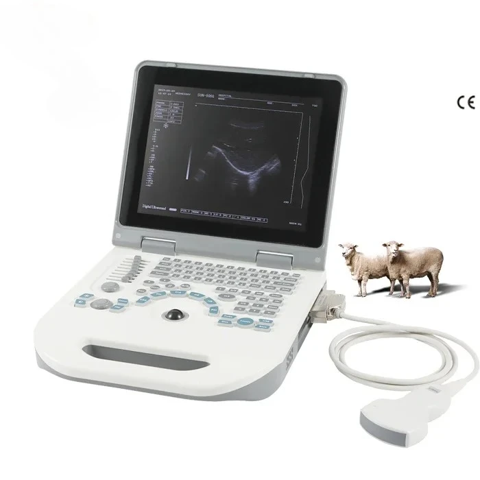 

LED Laptop CE Approved Clinic Diagnostic Ultrasound Veterinary Sonar