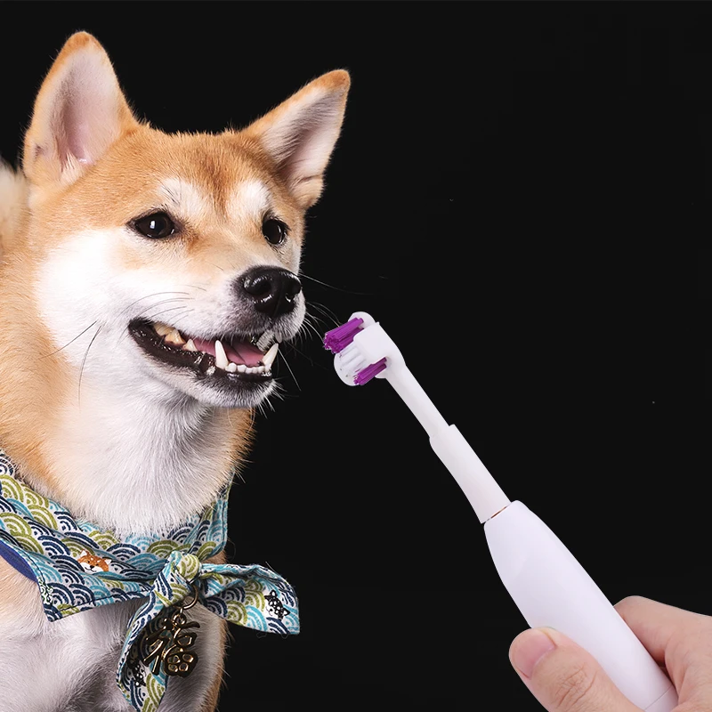 Portable Pet Electric Toothbrush Automatic Dog Cat Toothbrush 360 Tooth Cleaning Tool Pet Dog Toothbrush Pet Supplies