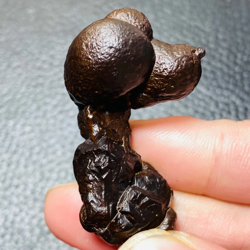 

Natural black Egyptian prophecy stone, lucky dog-shaped rare stone, mineral specimen collection, family decoration