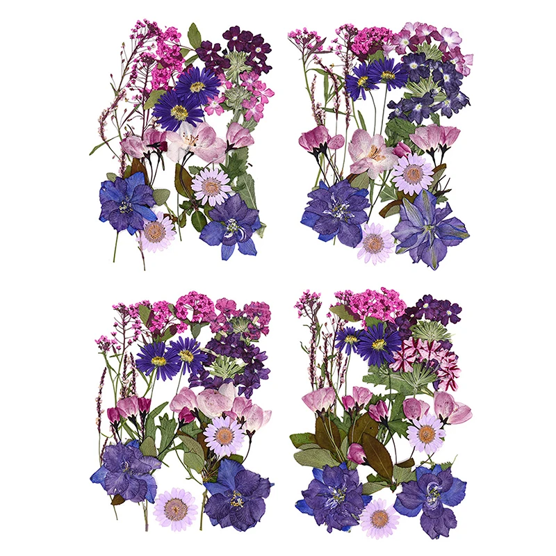 حشوات راتنج زهور مجففة منقوشة ، زهرة حقيقية لتزيين المنزل ، مشغولات يدوية لفن الأظافر ، مشغولات صناعة المجوهرات ، سهلة الاستخدام ، ممتعة #6