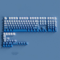 Gradient backlit RGB Gamer Keycaps For Mx Switch Mechanical Keyboard OEM Profile PBT Keycap White Blue ISO Layout Key caps DIY