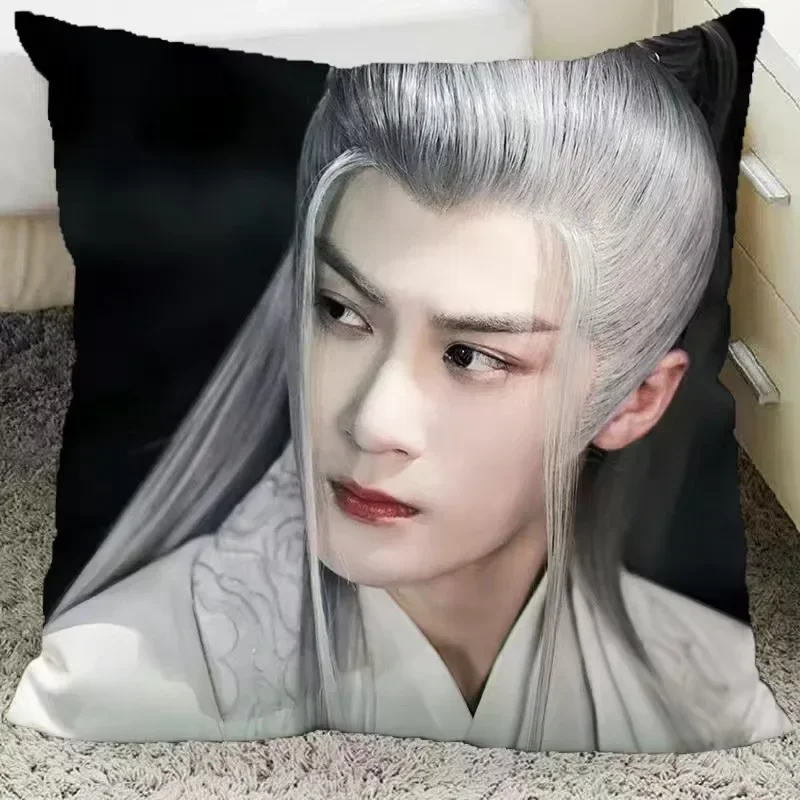 Tan Jianci Poster Double-sided Printed Pillowcase TV Lost You Forever Xiang Liu Fang Fengbei Photos Home Car Decor Cushion Cover