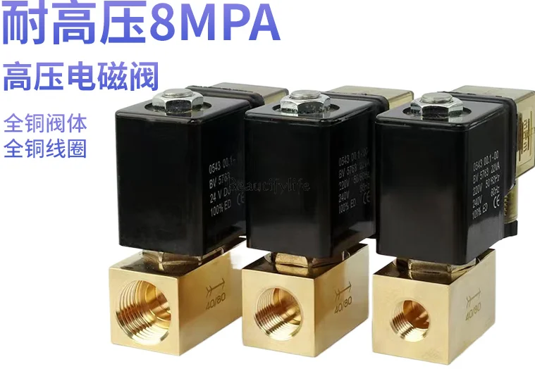 Two-Position Two-Way High Pressure Solenoid Valve JT22-02 04 Normally Closed Pressure-Resistant 8mpa Water Valve