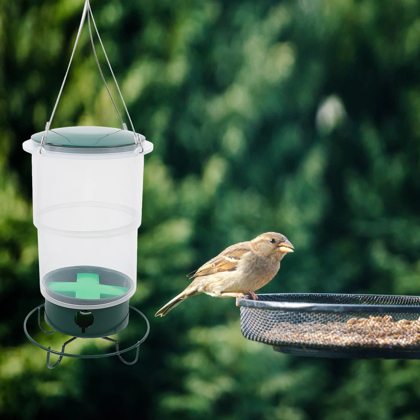 

Hummingbird Feeder Hanging Type Outdoor Durable Weather Resistant Small Hanging Wild Bird Feeder Garden