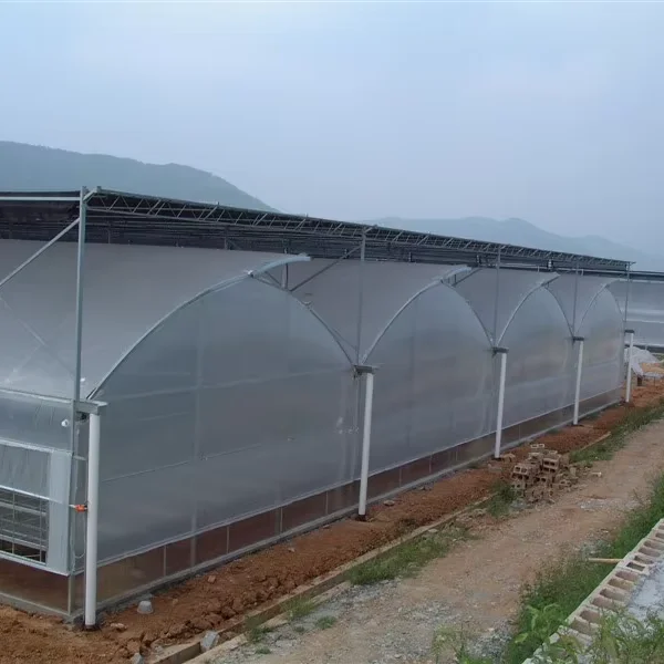 

Customized greenhouseMultispan Plastic PO PE Film Green House with Sunshade System for Best Selling