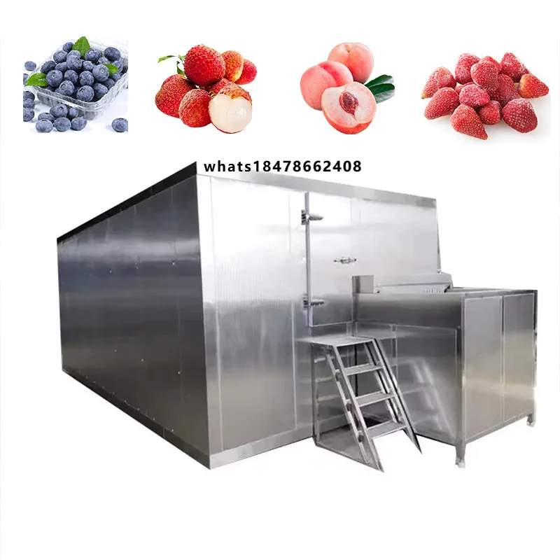 Fluidized Bed Quick Freezer PLC Controlled with Bearing & Engine for Fruit Frozen Equipment