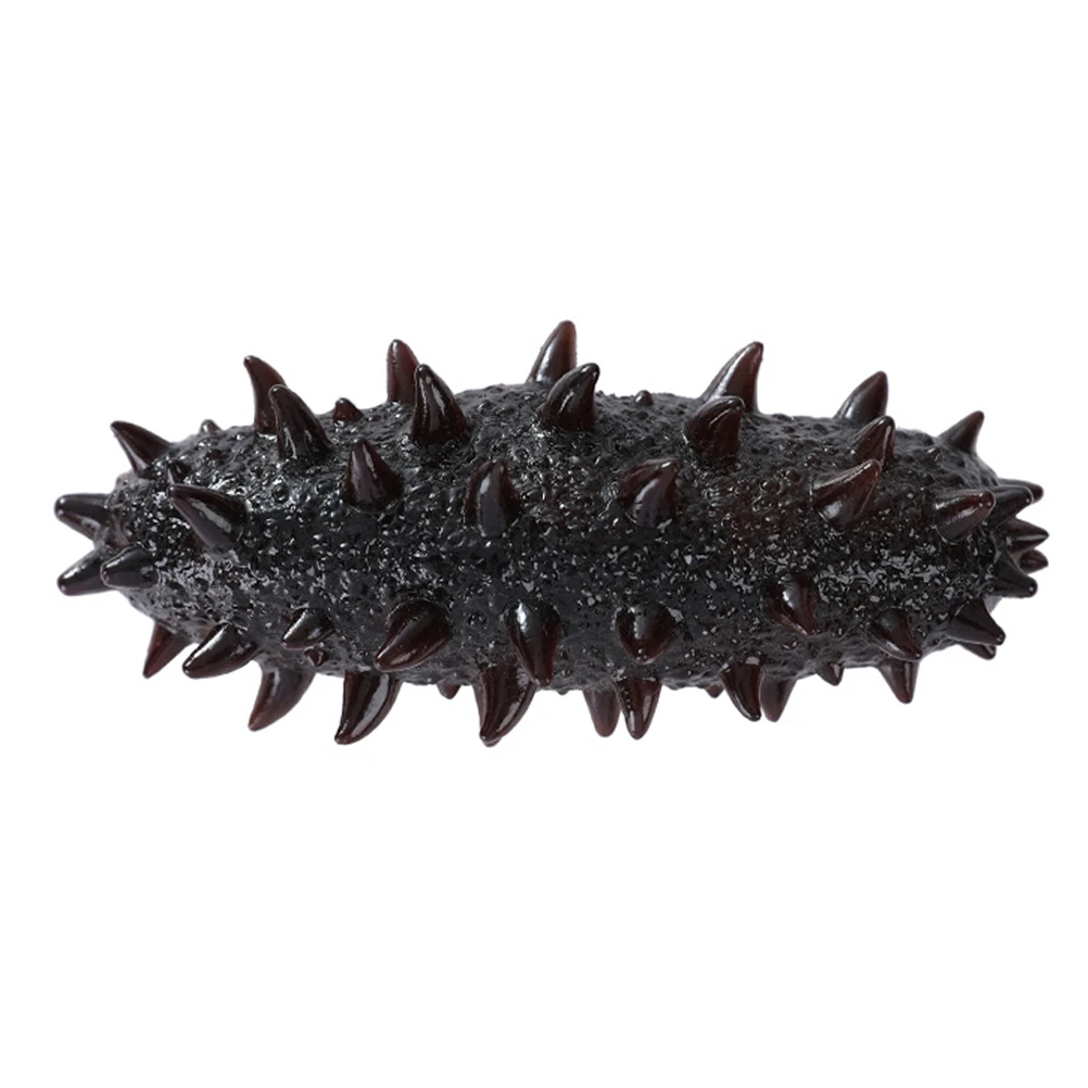 

Artificial Sea Cucumber Fish Models Food Fake Realistic Toy Props for Display Foods