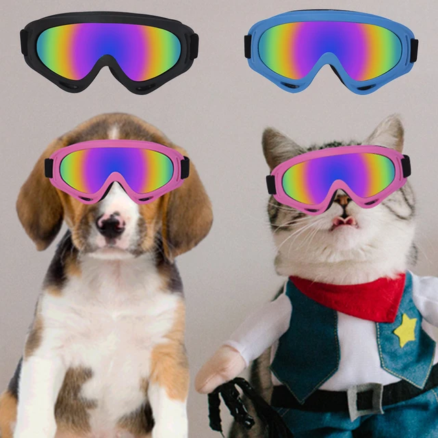 Golden Retriever Wearing Sunglasses Sunglasses French Bulldogs Cat Dog Sunglasses Aliexpress