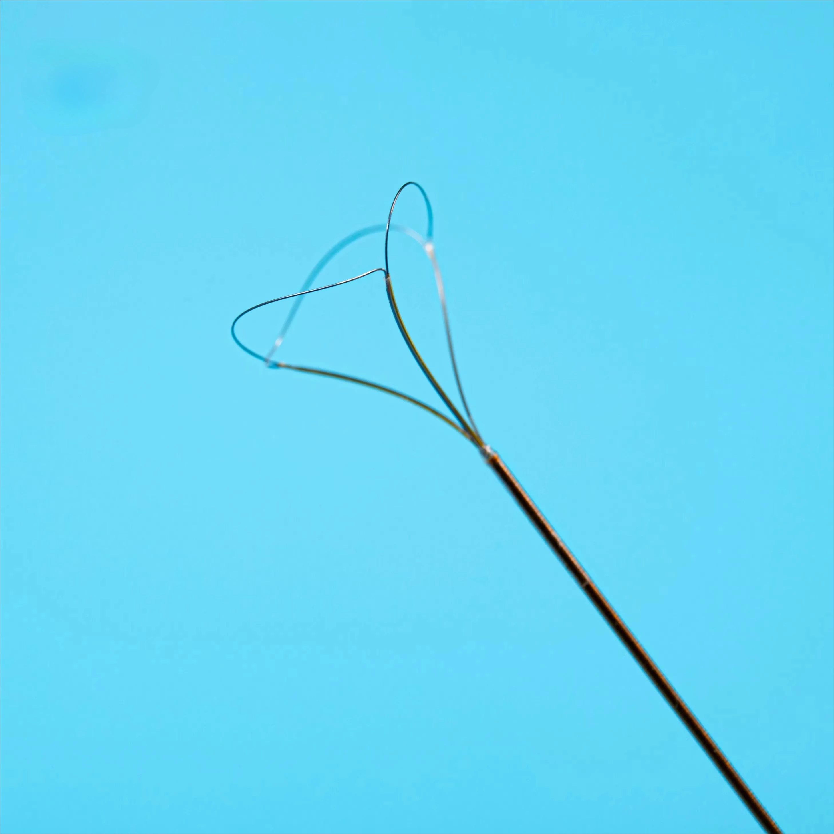 Disposable Lithotripsy Retrieval  3-wire and 4-wire PTF stainless steel  for intraoperative  removal
