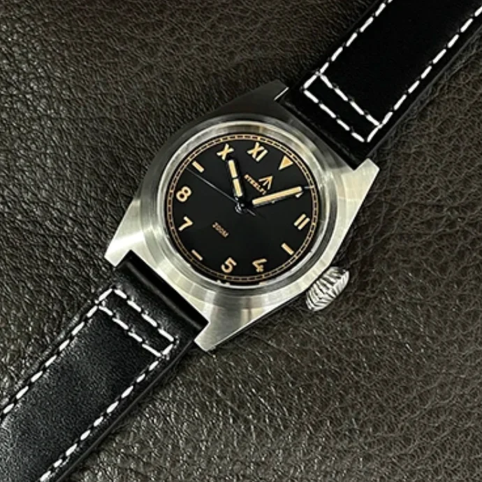 Steeldive Men Pilot…