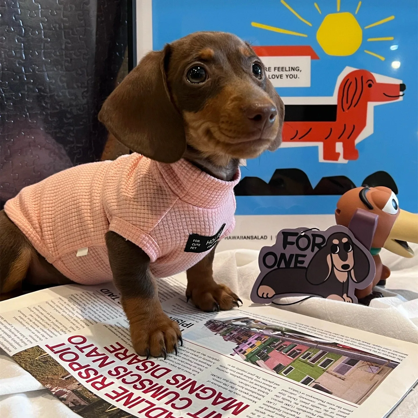 

Sweet Pink 2-legged Dachshund Dog Clothes Spring Summer Elastic Vest for Small Wiener Breathable Waffle Dog Costumes for Sausage