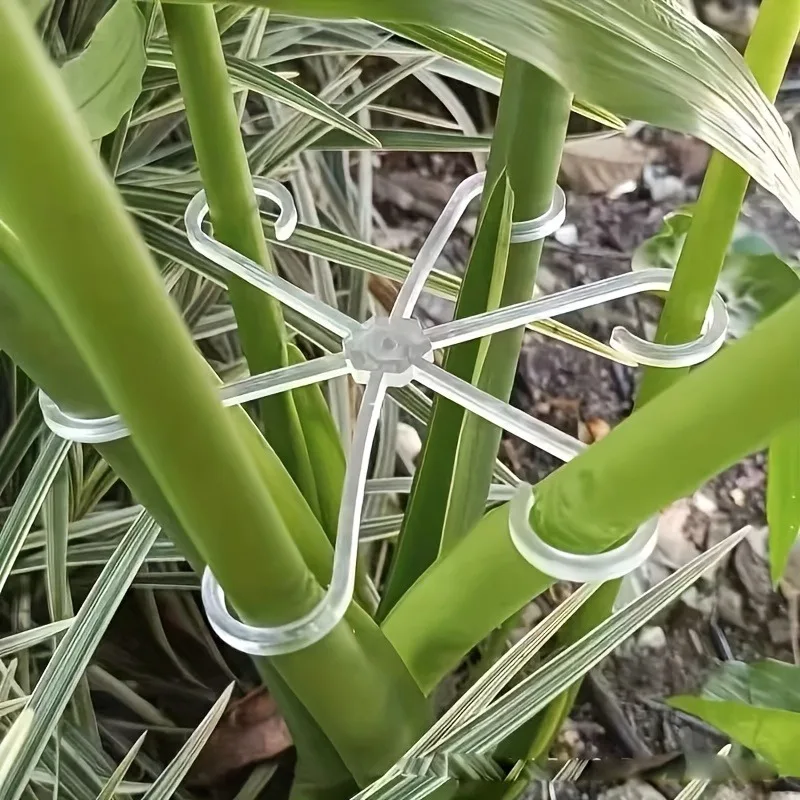 4er-Pack Pflanzenstützstäbe - Verstellbarer Anti-Kipp-Blumenständer für Hydrokultur-/Gartenpflanzen, Grüner Faltbarer Fixierer – Detail 3