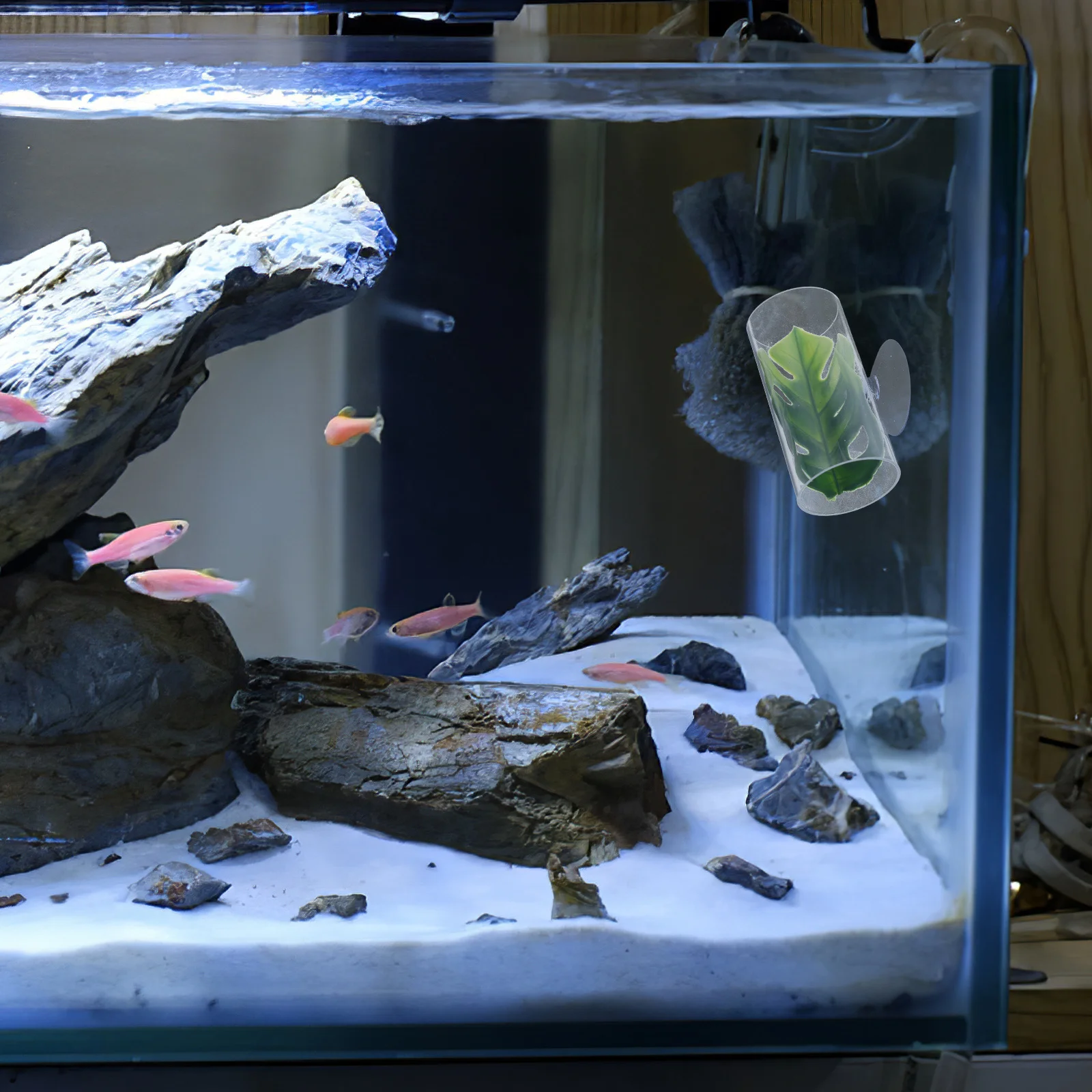 بيتا الأسماك الاسترخاء نفق شفاف إخفاء كهف حوض السمك المأوى الروبيان مخبأ خزان كبير ديكور أنبوب #4