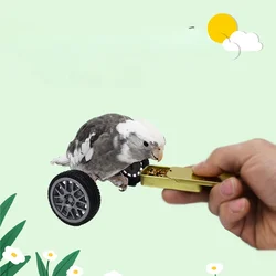 Parrot Balance Birds Intelligence Training Interactive Toy Mini Bicycle Wheels Roller for Small Medium Birds Pet Supplies Toys