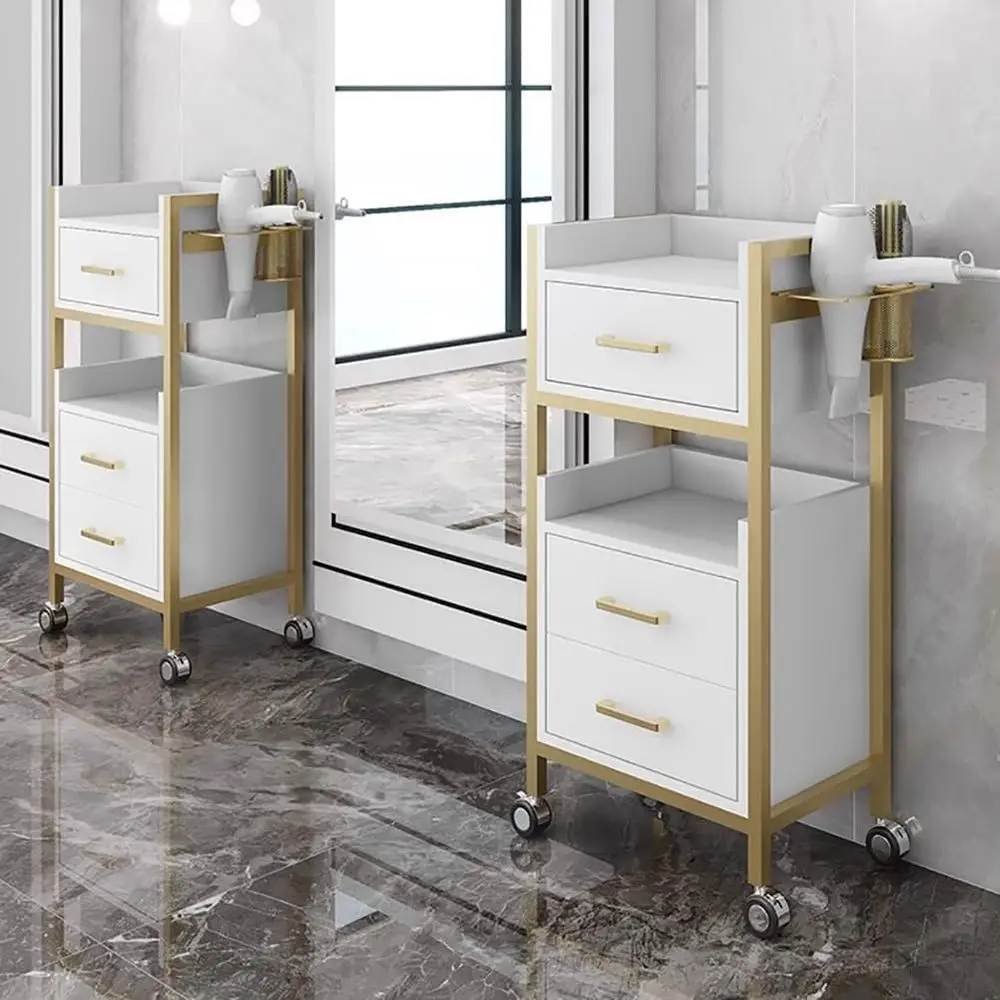 Troli Salon Rambut Profesional dengan Penyimpanan, Laci, dan Tempat Pengering Rambut