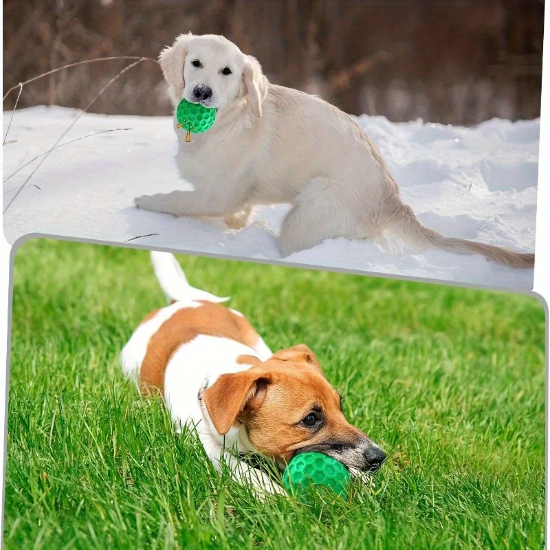 Rubber Dog Chew Toy 5