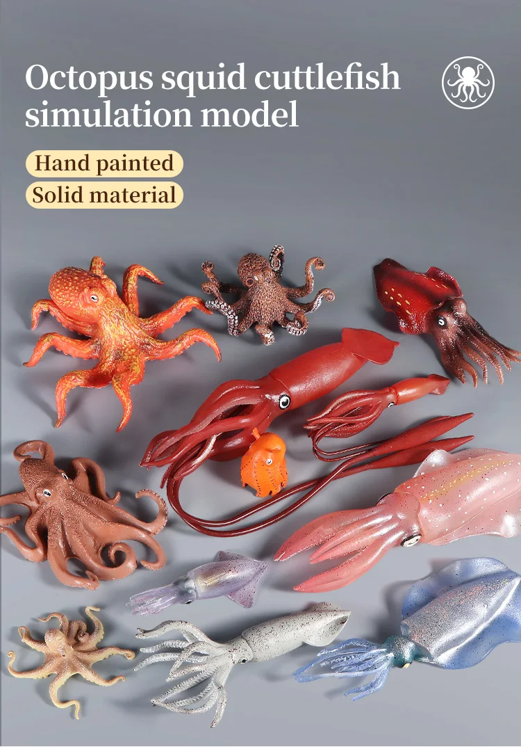 Pädagogische Marine Molluscs ModelToys – Simulation Tintenfisch Oktopus Wachstumszyklus Actionfigur für Kinder Sealife Animal Collection – Detail 1