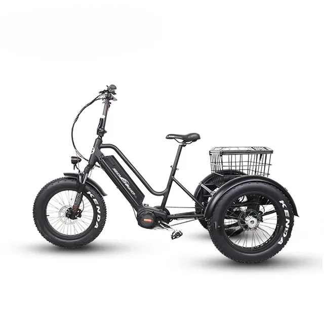 N2-M ULTRA Mid Motor Trike 20inch 4.0 tire 1000W Bafang M620 Mid Motor Electric tricycle with RST fork with an extra battery