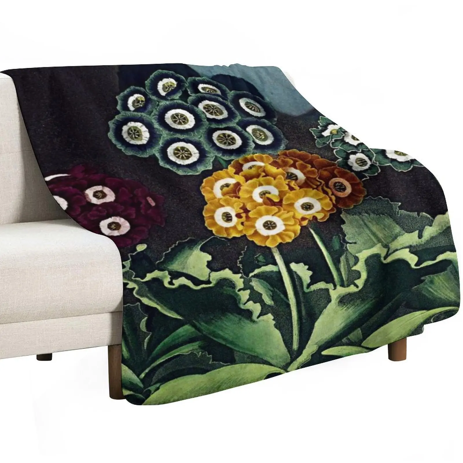 Botanical Art Temple Of Flora Auriculas Throw Blanket Easy Care Comfortable Blanket for Couch