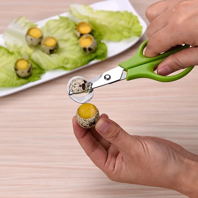 Practical 10PCS Stainless Steel Quail Egg Cutter Scissors Pigeon Bird Quail Egg Cutter Opener Cracker Kitchen Clipper Tool