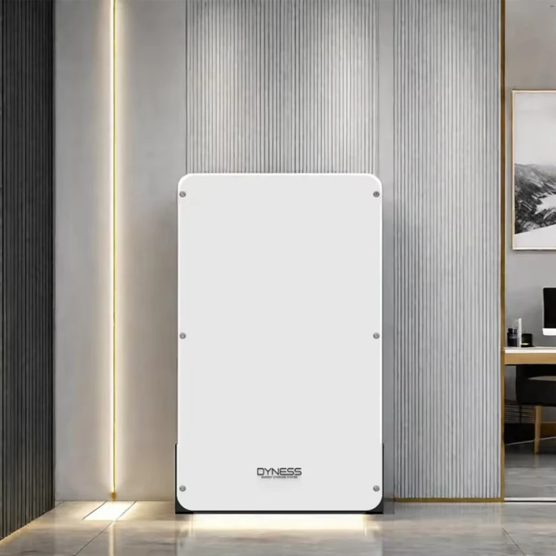 TLF Dyness Powerbox Pro montaje en pared batería de litio Lifepo4 para el hogar 200ah 51.2v Powerwall 10kwh batería de almacenamiento de energía