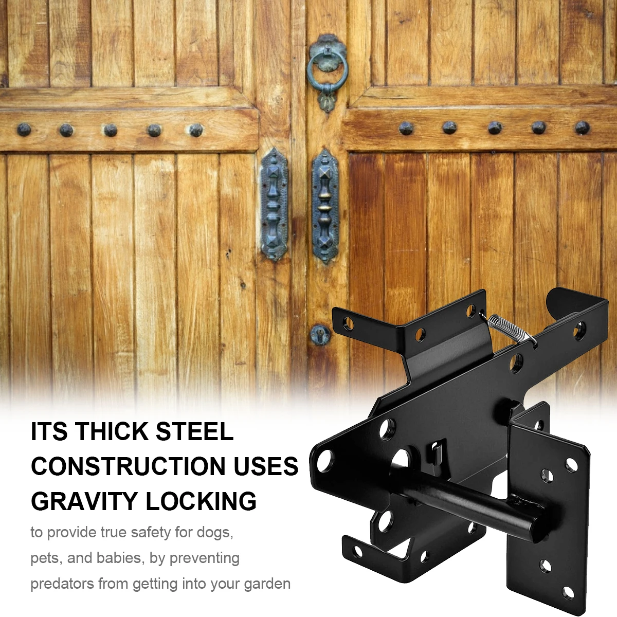 Door Bolts