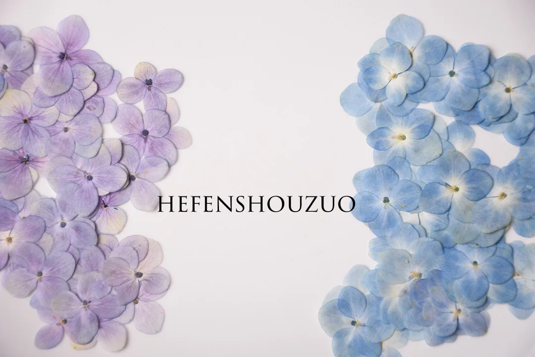 Original color hydrangea real flower special offer Hydrangea dried flower two-color resin DIY material