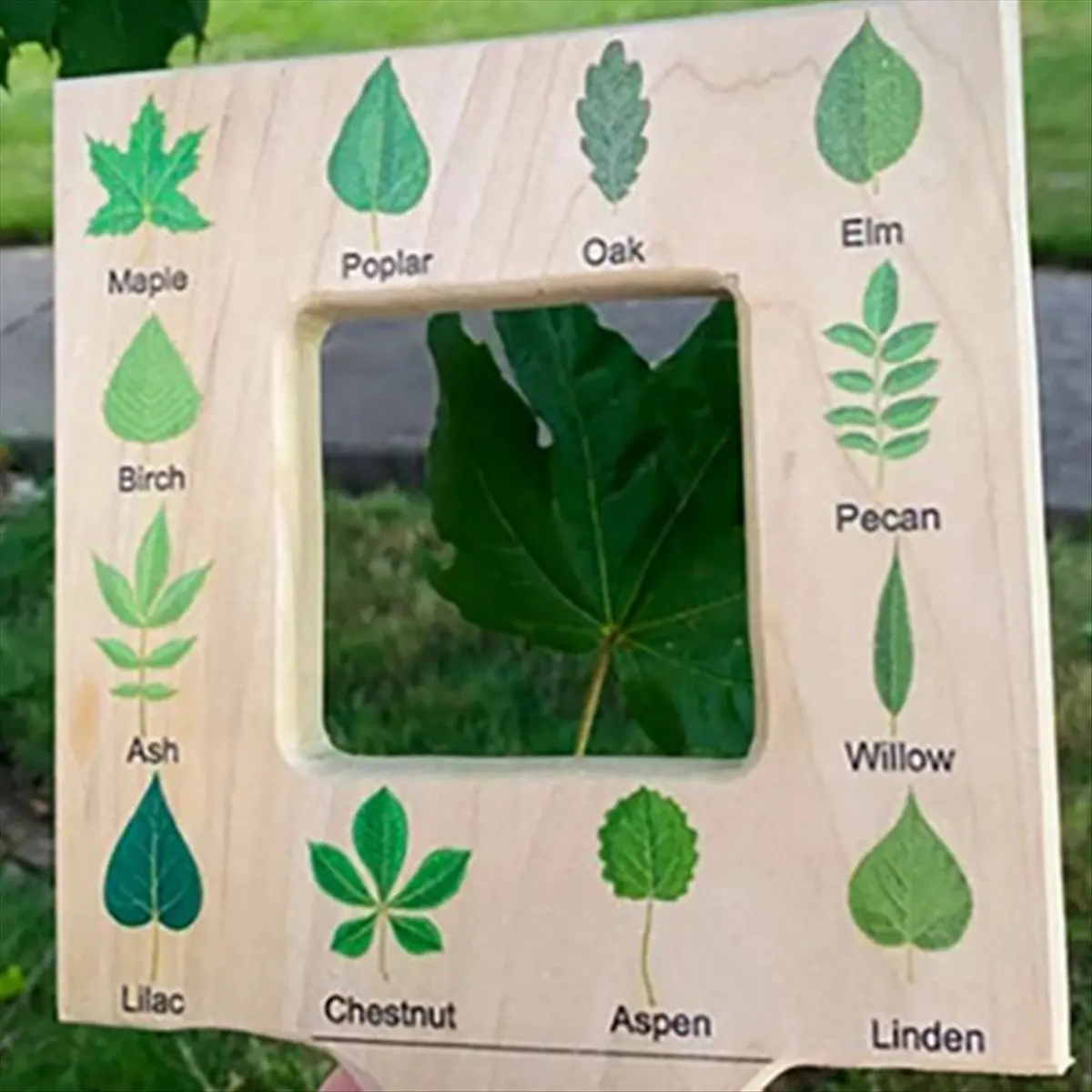 LUCK Nature Guide Finder Toddler Wooden Handheld Toy Double-Sided Board Outdoor Plant Children-A