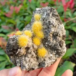 Natural zeolite symbiotic yellow crystal cluster, yellow crystal symbiotic cluster, mineral Reiki healing stone, energy demagnet