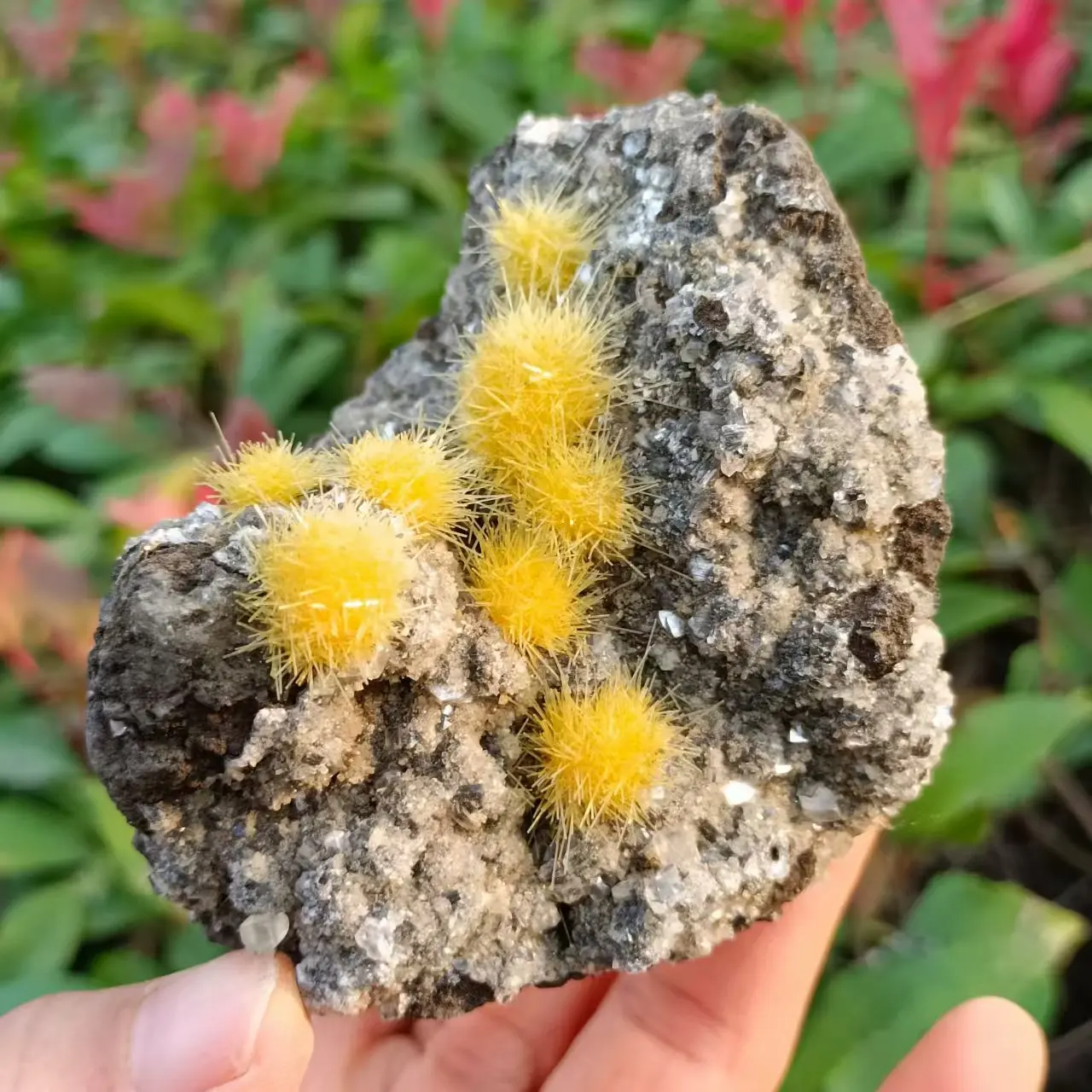 Natural zeolite symbiotic yellow crystal cluster, yellow crystal symbiotic cluster, mineral Reiki healing stone, energy demagnet