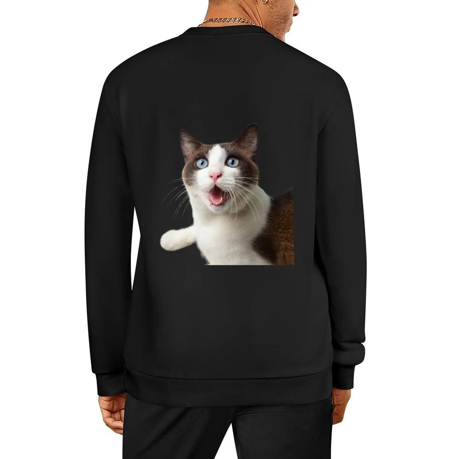 

WOW Cat. Whimsical cat funny. Pullover korean clothes graphic t shirts men autumn mens clothing hooded sweatshirts