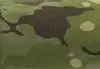 MCTP