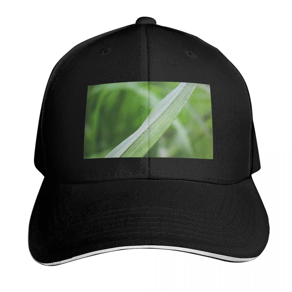 Blade of grass leaf Baseball Cap Moisture Wicking Quick Dry Curved Brim Classic Fit Low Profile Unstructured