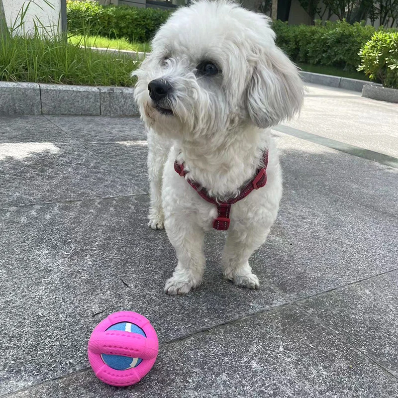 Pet dog toy rubber foam four hollowed out leaky food ball tennis ball interactive companionship for small and medium-sized dogs