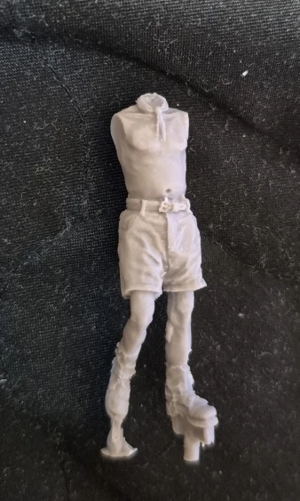 Buyer photo of this resin kit