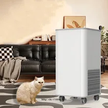 Electric Plastic Pet Deodorant Plasma Air Purifier Anion Generator Washable Filter High Efficiency Quiet Operation for Home