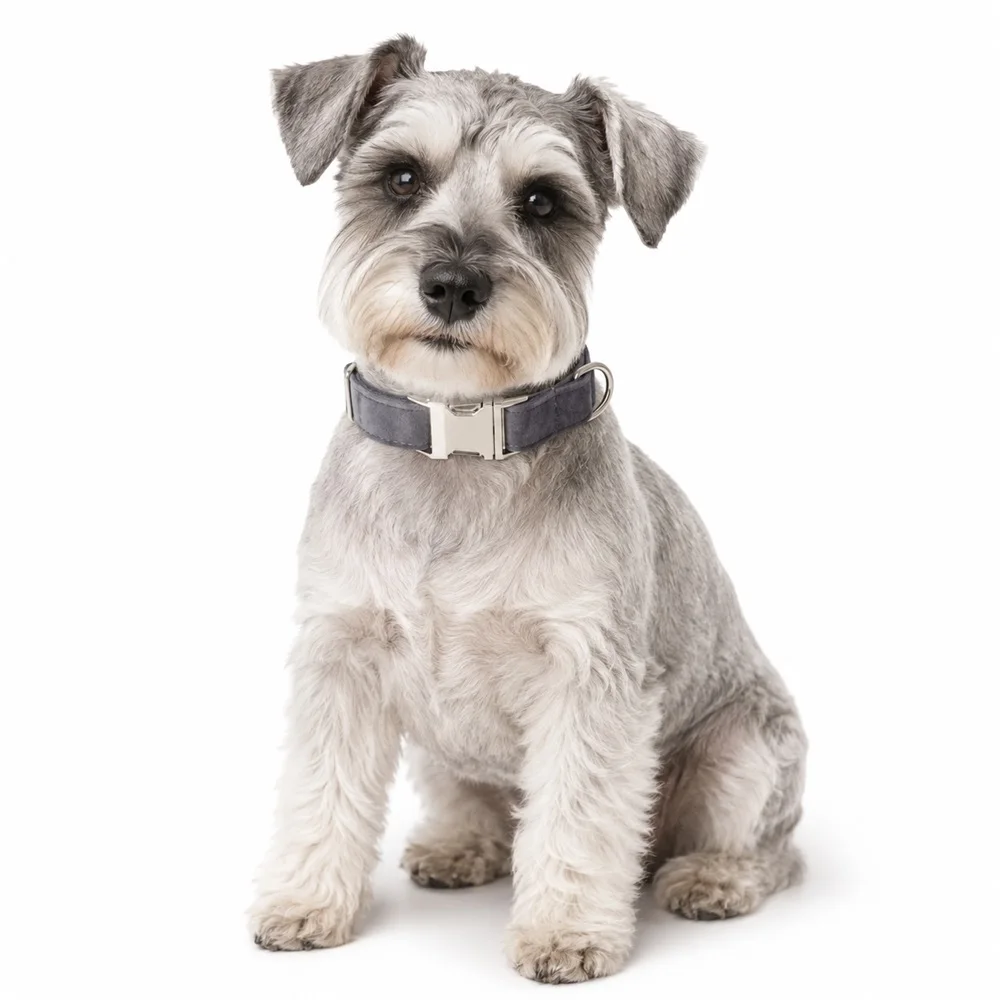 Customized Thick Velvet Winter Dog Collar with Personized Contacts Buckle for Small Medimum Large Dogs,Matching Leash Available