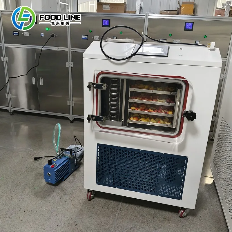 Commercial  Home Mini Freeze Dryer No Oil Pump Drying Machine Lyophilizer Price for Candy Food Fruit Vegetable FL Customized
