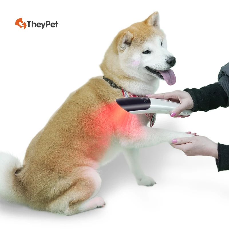 Dogs Therapy Device Leg Muscle Pain Relief Rechargeable Red Light Therapy Products