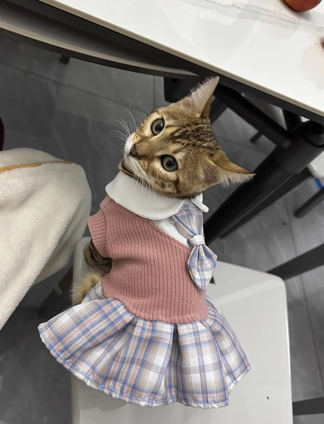 

2025 Pet Autumn and Winter Wool Jk Plaid Dress Small and Medium-sized Dog Teddy Bear Corgi Dog Cat Clothing Supplies