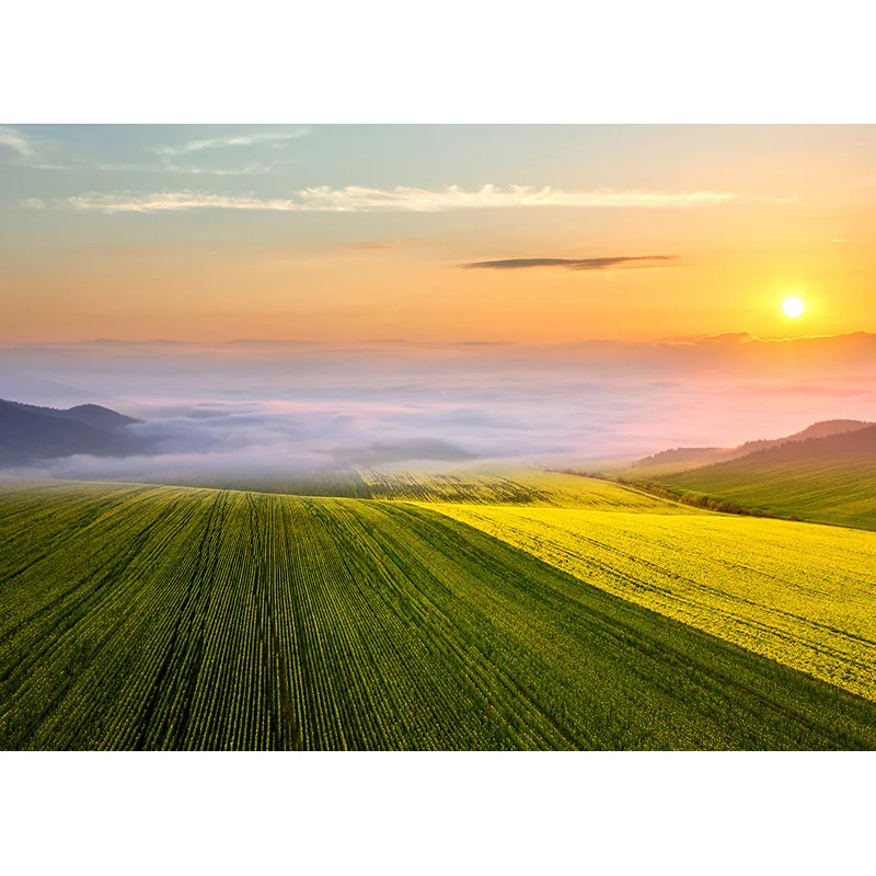 자연 경관 사진 배경 숲 강 풍경 TravelPhoto 배경 스튜디오 소품 21921 CXSC -12