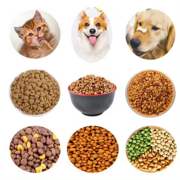Máquina extrusora de alimentos para mascotas pequeñas, máquina de fabricación de alimentos para gatos, perros y peces, precio bajo
