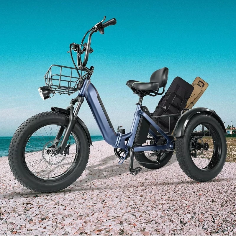 20 Inch Electric Trike Adults 750W Motor Fat Tire 3 Wheel Tricycle Bike Electro Three Wheels Adult  Electric Tricycle Bike