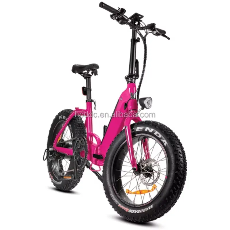 Hot Sell 2024 48V 750w Folding E Bike 20 Inch Rear Hub Motor Electric Bicycle 15Ah Electric Foldable Bike with Lithium Battery