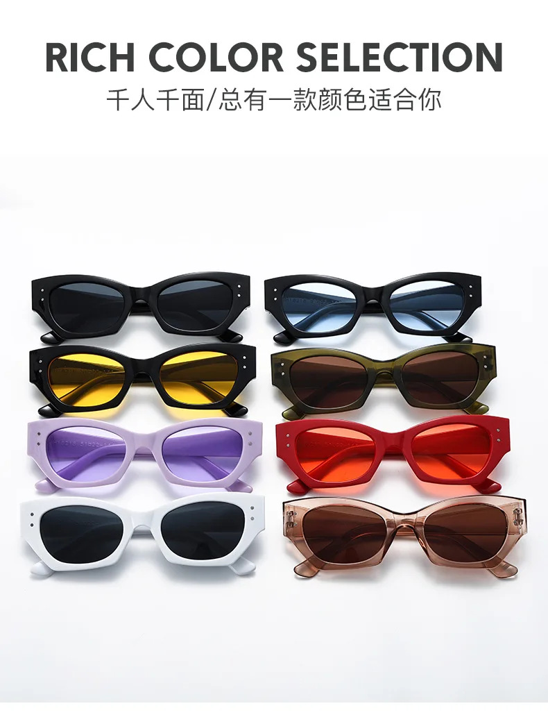 Vintage Kleine Niet Cat Eye Sonnenbrille Frauen Mode Marke Luxus Designer Polygon Sonnenbrille UV400 – Detail 3