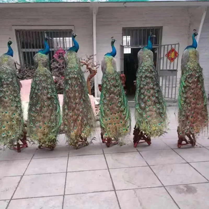 

Handmade Fashion Wedding Decoration Feather Peacock Birds