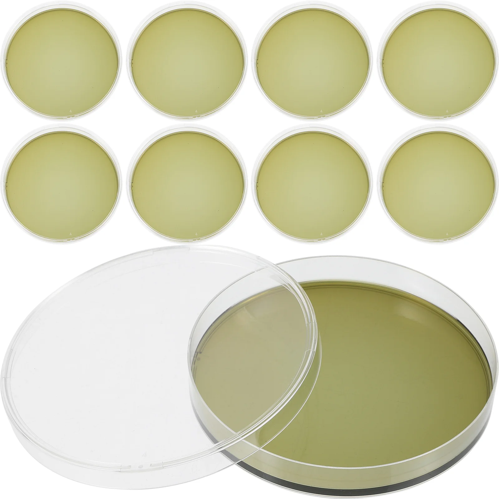 

10 Pcs Agar Test Kit Portable Plates Petri Dish Dishes with Plastic Laboratory Experiment Supplies for Prepoured