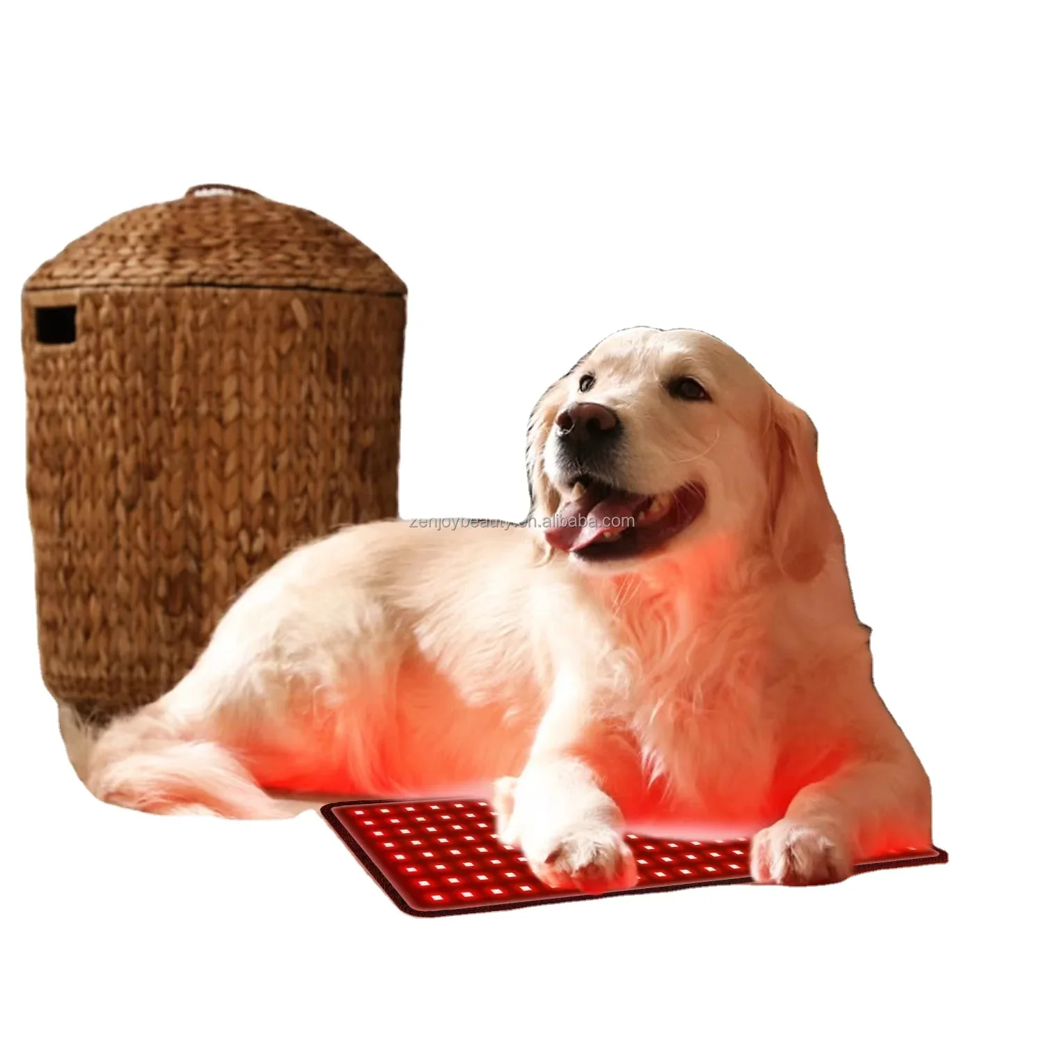 2024 Built-in Battery Wireless Mat 660nm 850nm Red Near Infrared Equine Red Light Therapy Belt Wrap for Dogs Cats Horse Animals