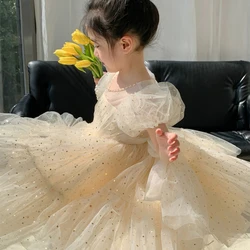 Toddler Girl Summer Dress Dreamy Sparkle ambience Princess Birthday Party Dress Mesh Bunny dress for kids wedding dress