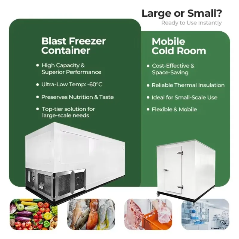 Good Quality Refrigerated Freezer Small Size Negative Mobile Cold Storage Room for Meat Seafood